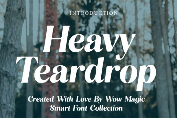 Heavy Teardrop Font for Creative Makers