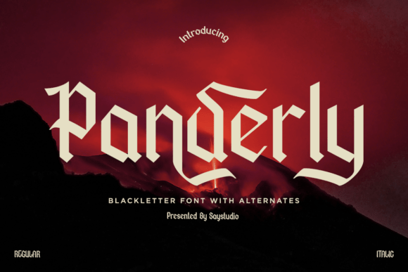 Panderly: A Bold Font for Business