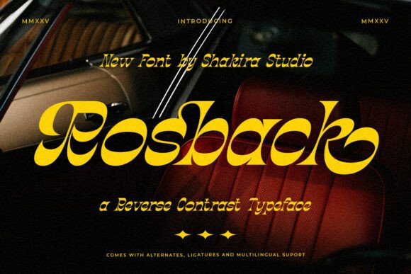 Rosback: A Stylish Serif for Web Design